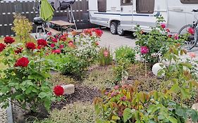 Schöne neu erbaute Wohnung
